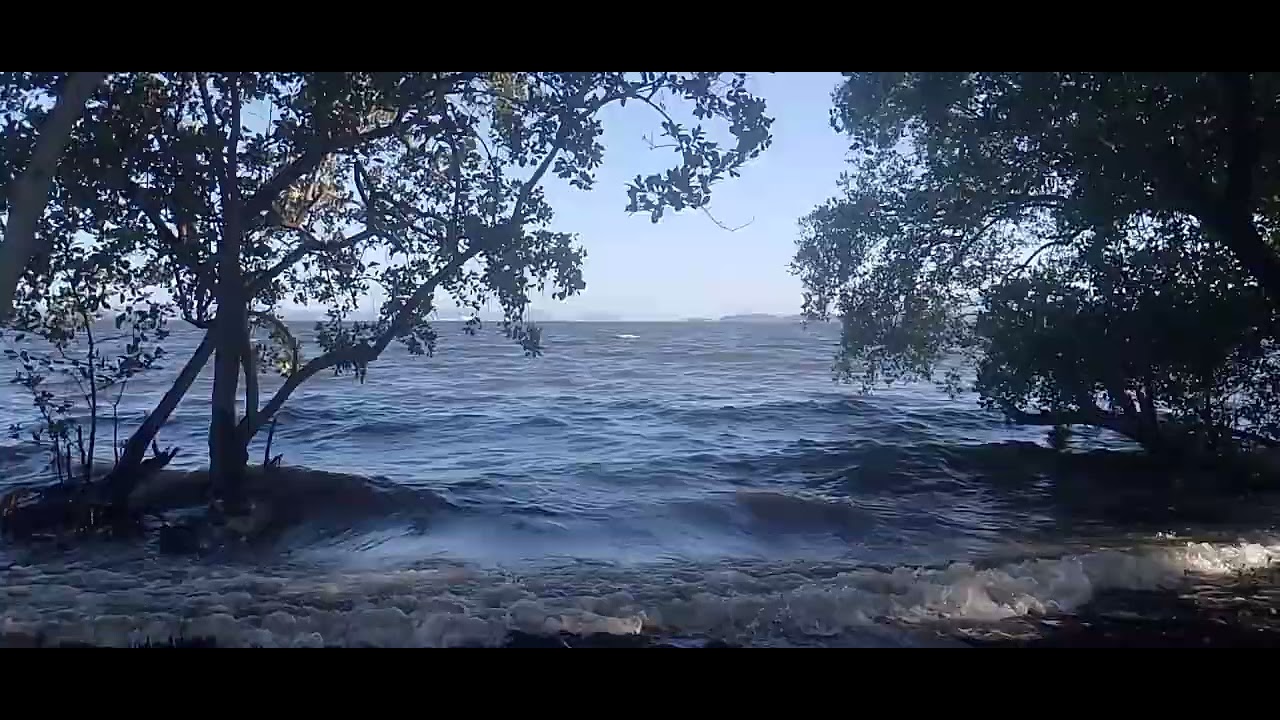 Um Lugar Lindo Do Brasil de paz com A natureza 