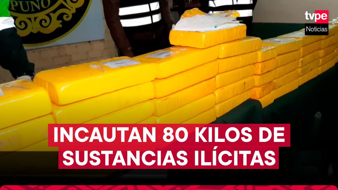 Puno: Incautan más de 80 kilos de sustancias ilícitas en frontera con Bolivia
