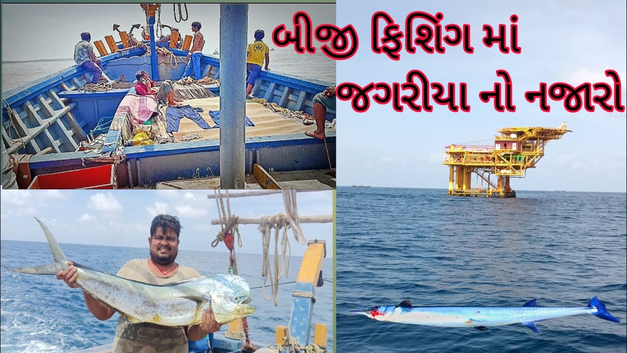 બીજી ફિશિંગ માં જગરીયા નો નજારો दूसरी फिशिंग में झगड़ीया का नजरों Biji fhishig ma jagariya no najaro
