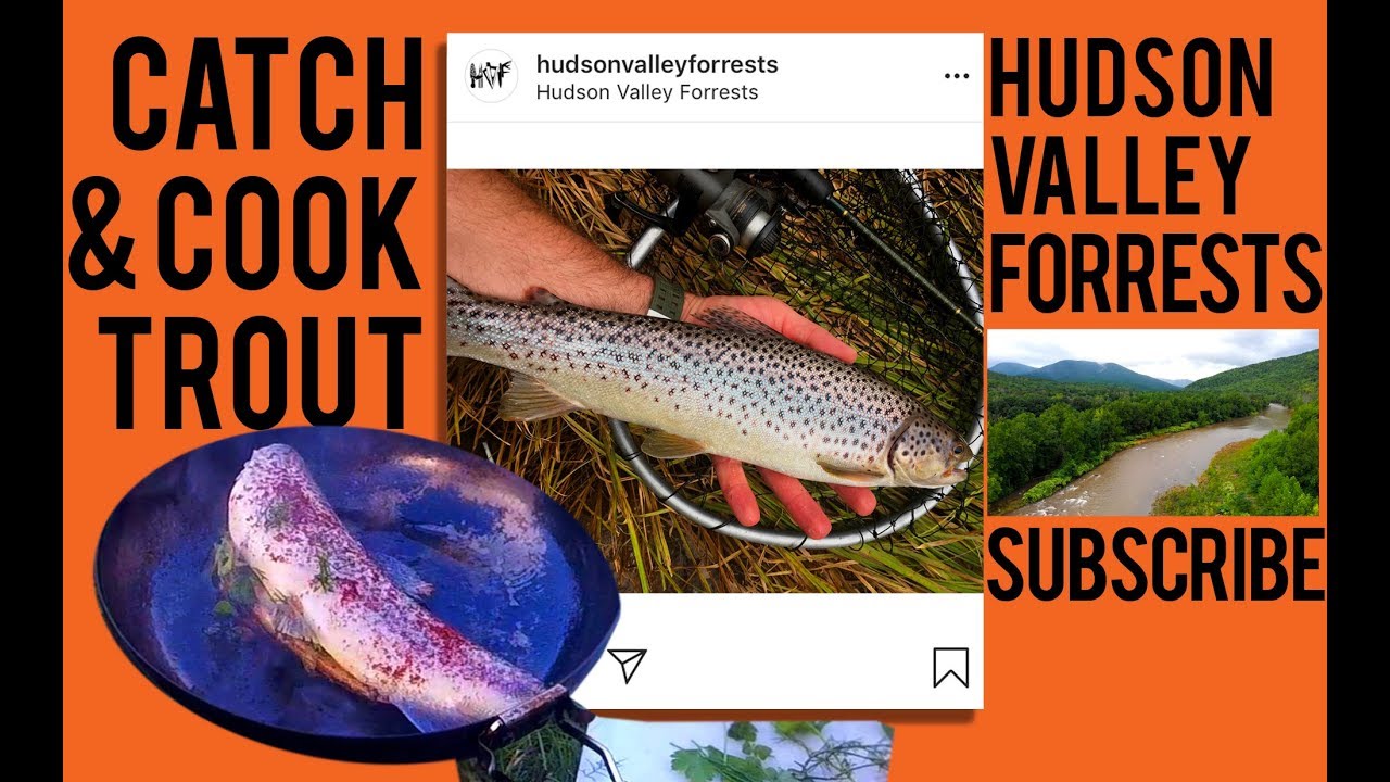 DIY Catch & Cook - Trout