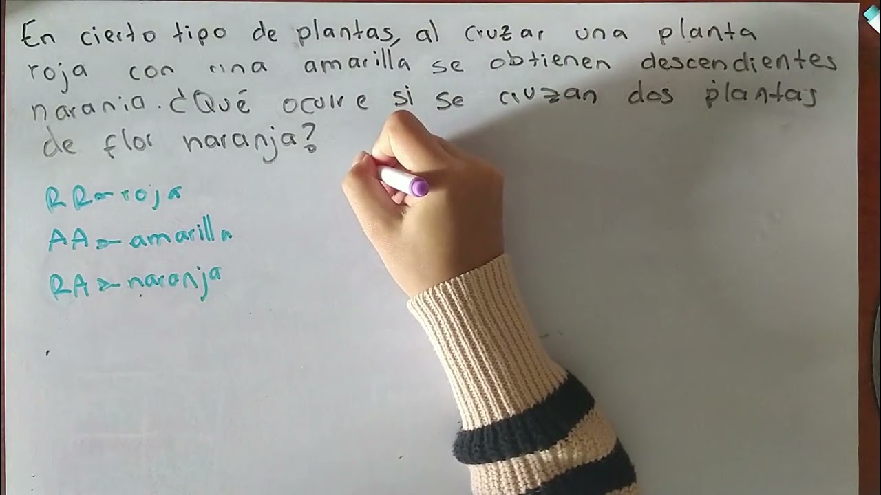Ejercicios cuadro de Punnet - Codominancia y herencia Intermedia.