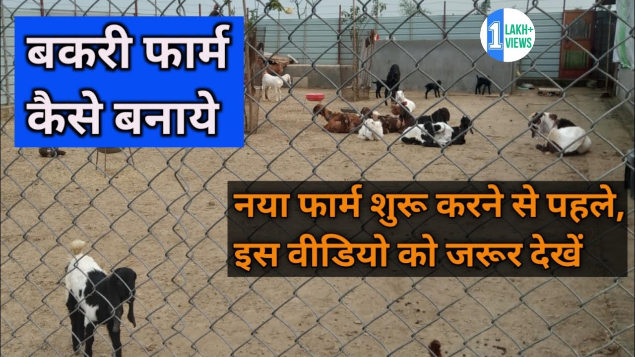बकरी फार्म कैसे बनाये | how to construct goat farm | Goat Farming