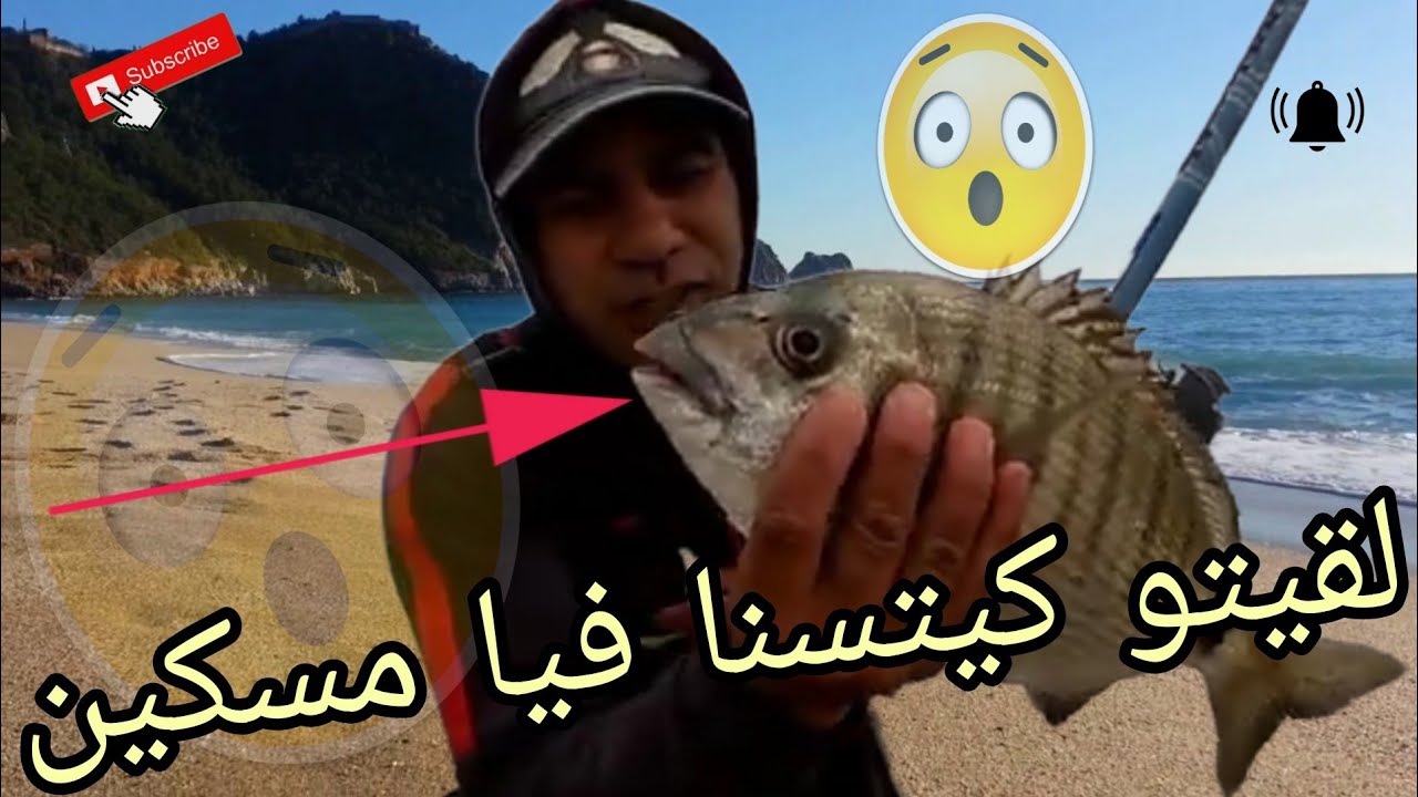 أول تشحيطة شديت أكبر شرغو 🐟 كان كتسنا طعمة عوقتاش تحبط لعندو تبارك لله 😲