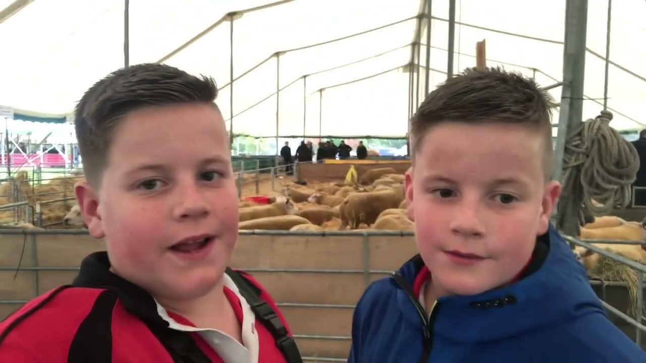 Kelso ram sales