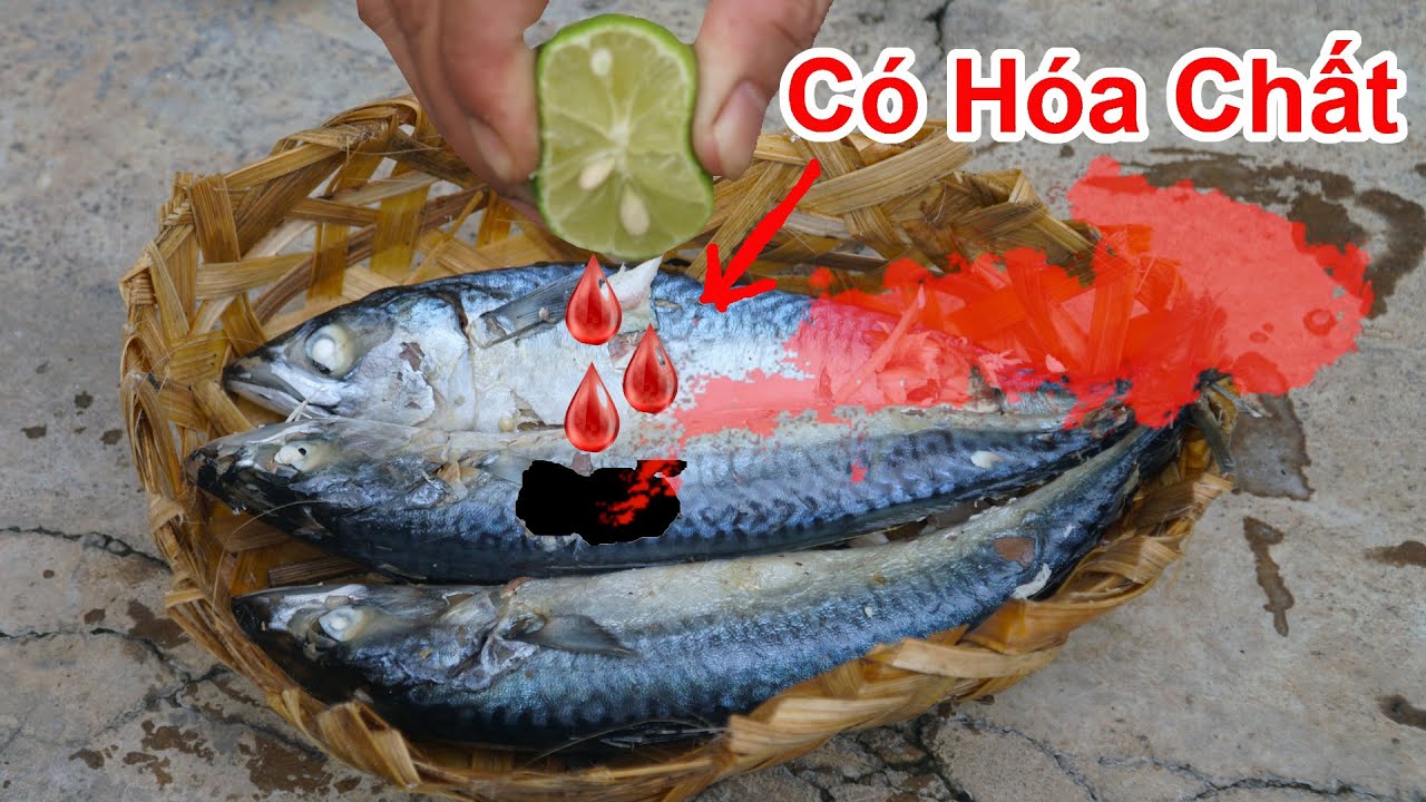 Cá Hấp Mua Ngoài Chợ Tẩm Hóa Chất Rất Nguy Hiểm ! Cách Phân Biệt Cá Hấp Ướp Hóa Chất , Chất Bảo Quản