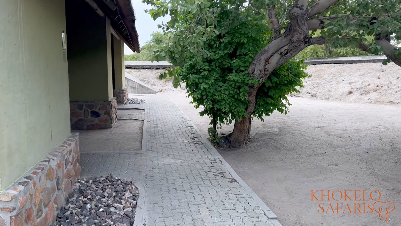 Preview Savuti Camp