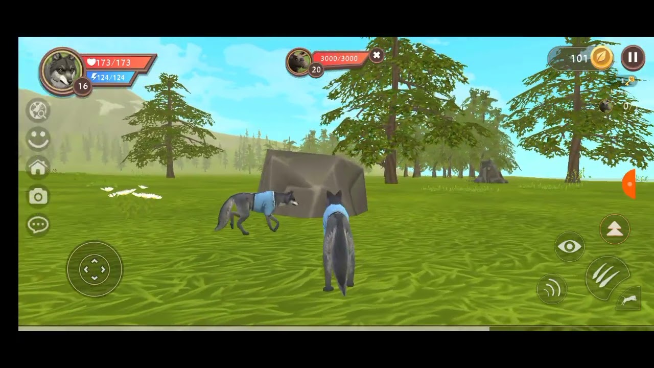 Jogando wild wild craft com os meu cachorrinhos