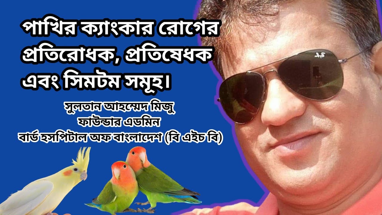 ককাটিয়েল ও বাজিগর পাখির বাচ্চার ক্যাঙ্কার রোগে মৃত্যুর সমাধান I What is Canker in Birds & Pigeon I