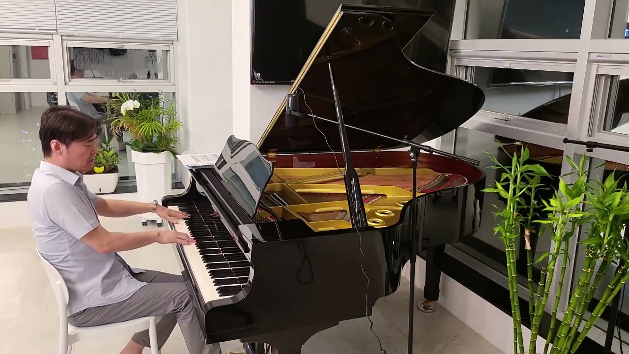 리차드 클레이더만 - 아들린을 위한 발라드 / Richard Clayderman - Ballade pour Adeline