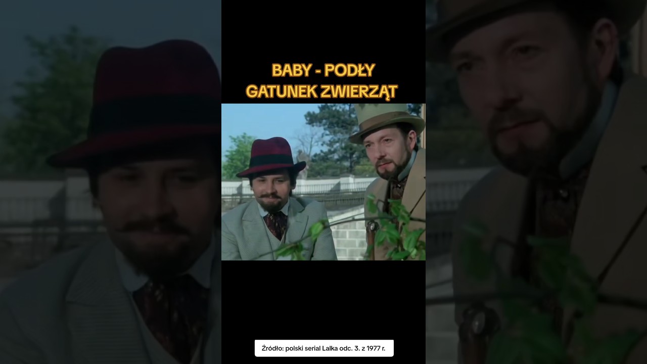 KTO MOCNIEJSZY KOBIETY VS MĘŻCZYŹNI #lalka #kobiety #mężczyźni #relacje #kontra