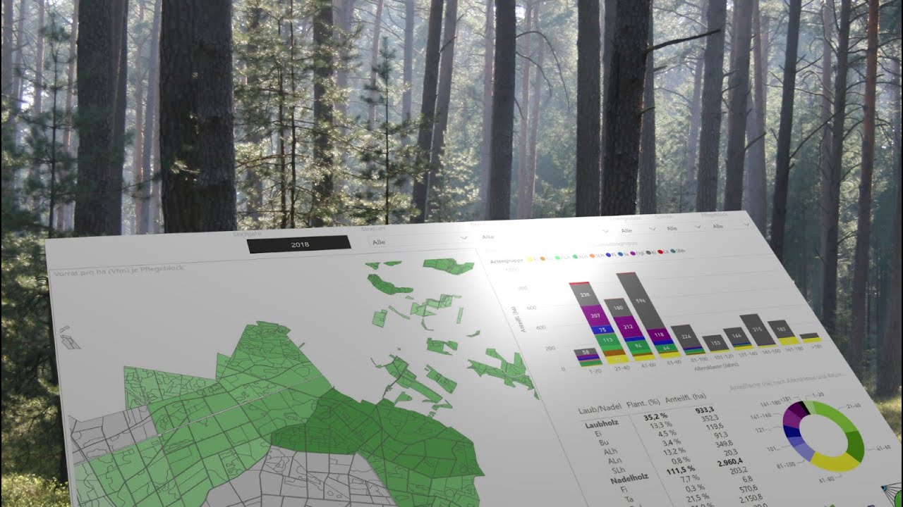 A short example on forest inventory data analysis