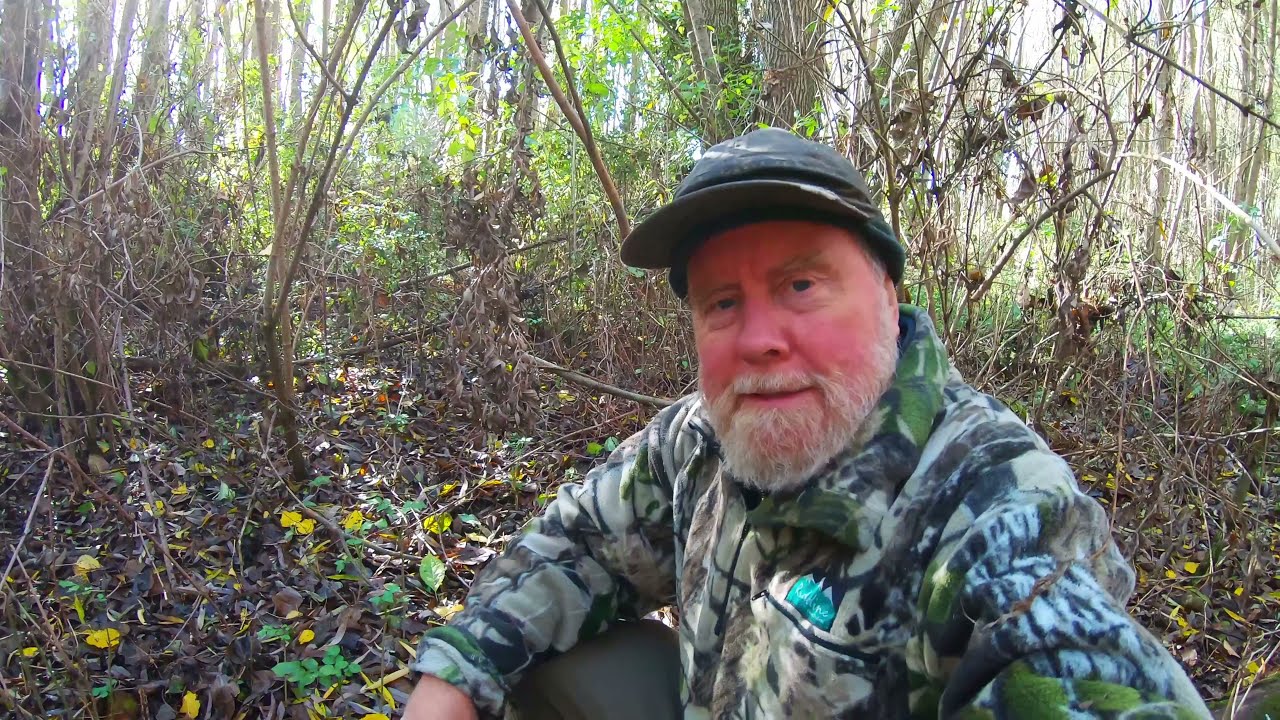 Wild Mushroom Foraging May2021 (At 4k Resolution)
