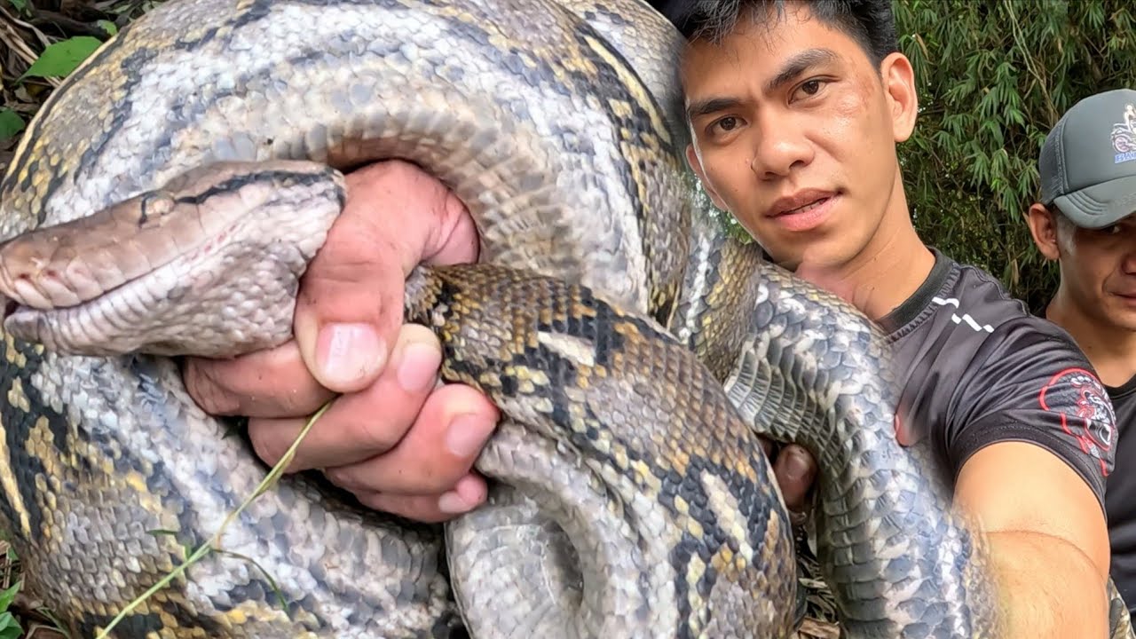 NAPAKA LAKING SAWA LUMALAMON NG MGA ALAGA HAYOP