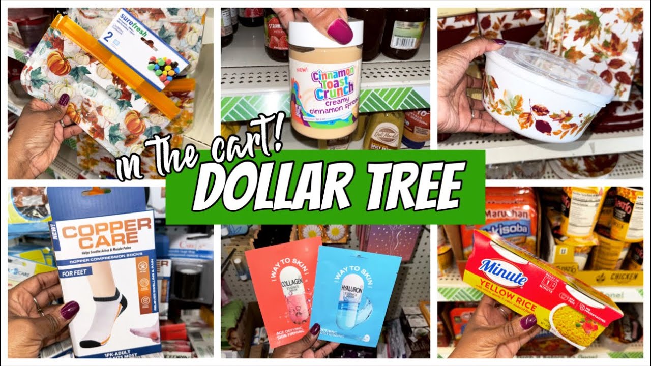 DOLLAR TREE | WHATS NEW AT DOLLAR TREE | DOLLAR TREE COME WITH ME