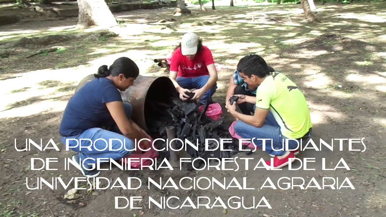 C&oacute;mo elaborar Carb&oacute;n Vegetal