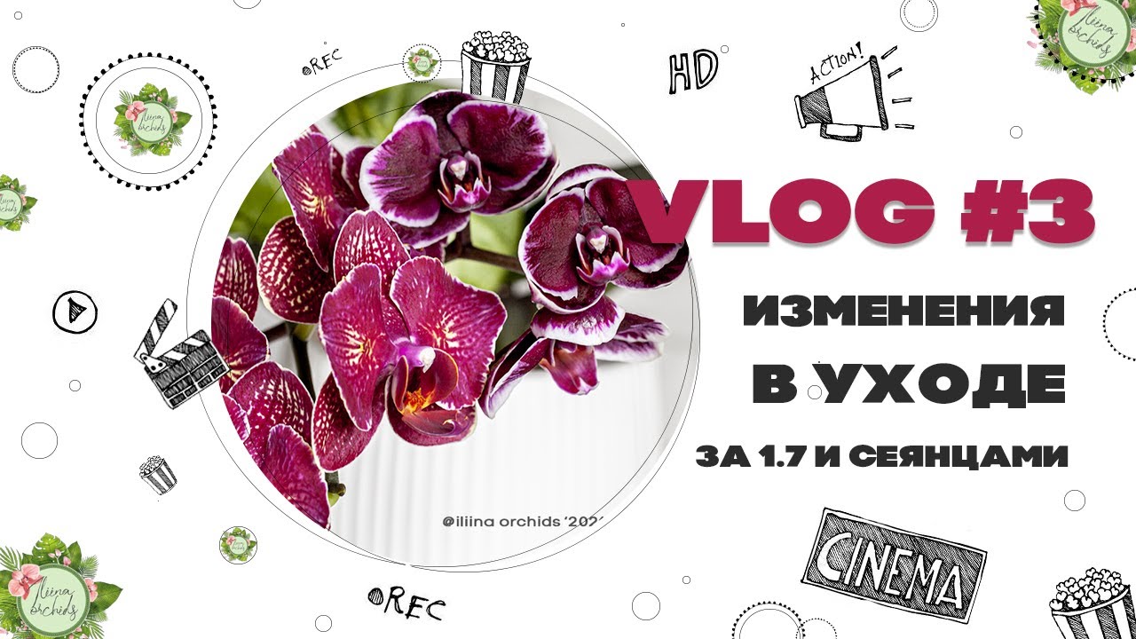 ВЛОГ №3 - снова про орхидеи в размере 1,7 - корректировка ухода, смена схемы удобрений, мой полив