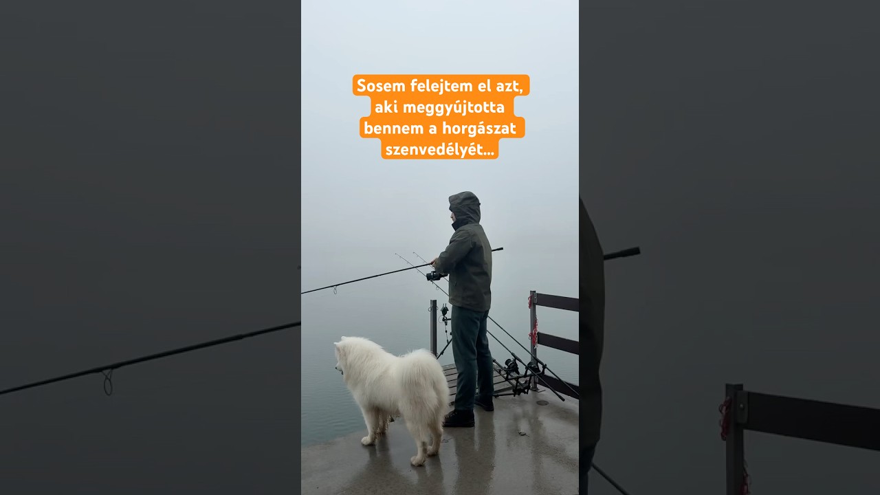 És nálad ki volt az? 💔