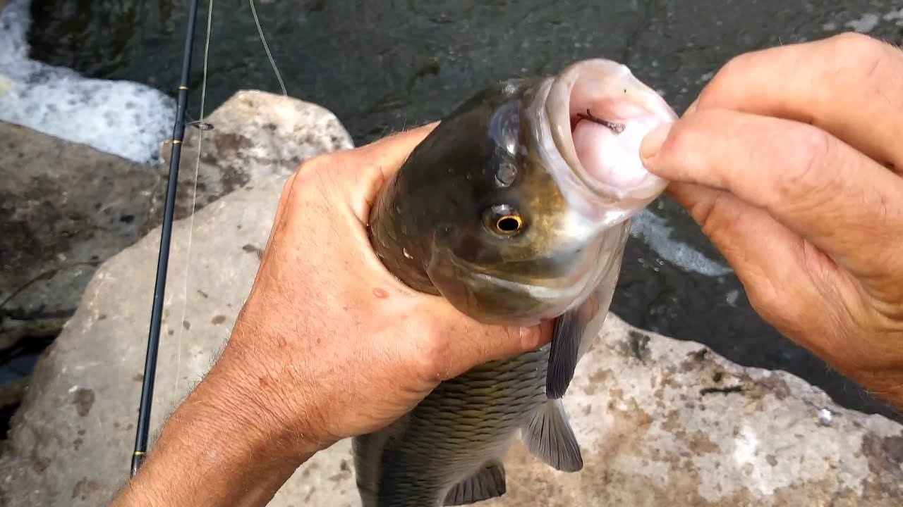 Kasna avı , her atışta balık