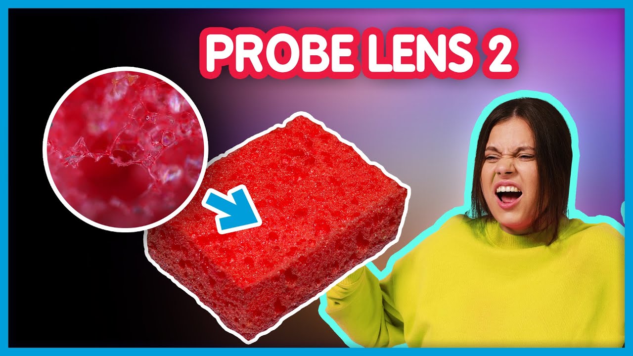 Probe lens 2 | Žiūrim į daiktus iš vidaus  | Talžūnas, STIMOMEDIA, Lauritta, Vėjas | PILDYK