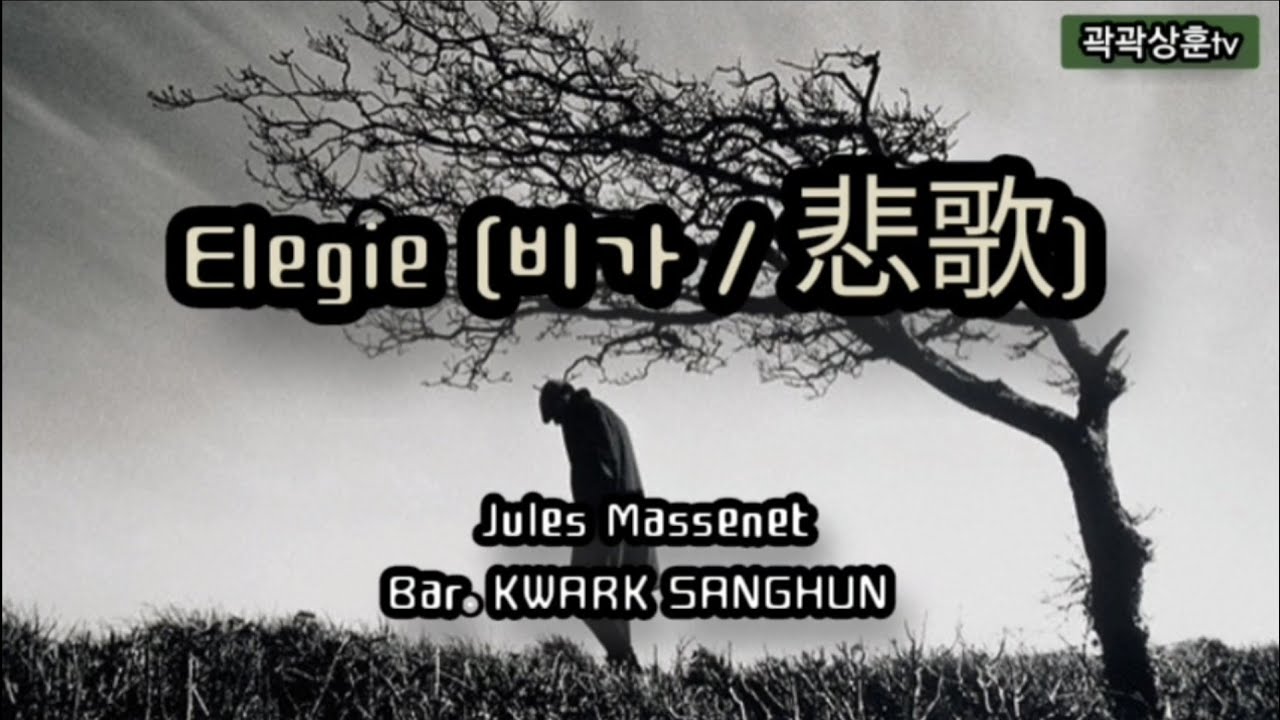 Elegie (비가) -Jules Massnet  Bar.Kwark Sanghun 바리톤 곽상훈