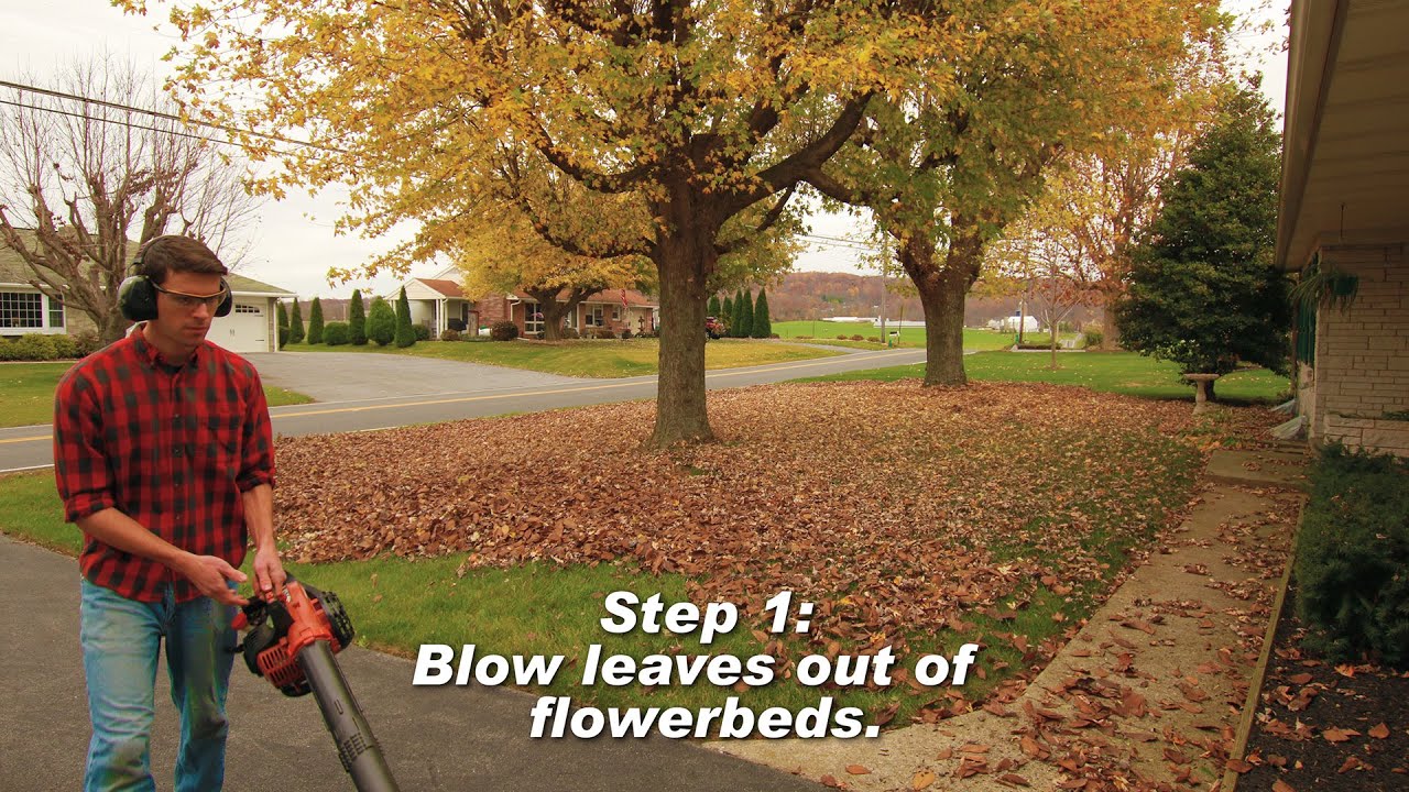 How To Clean Up Leaves in 13 Steps - 4K Timelapse