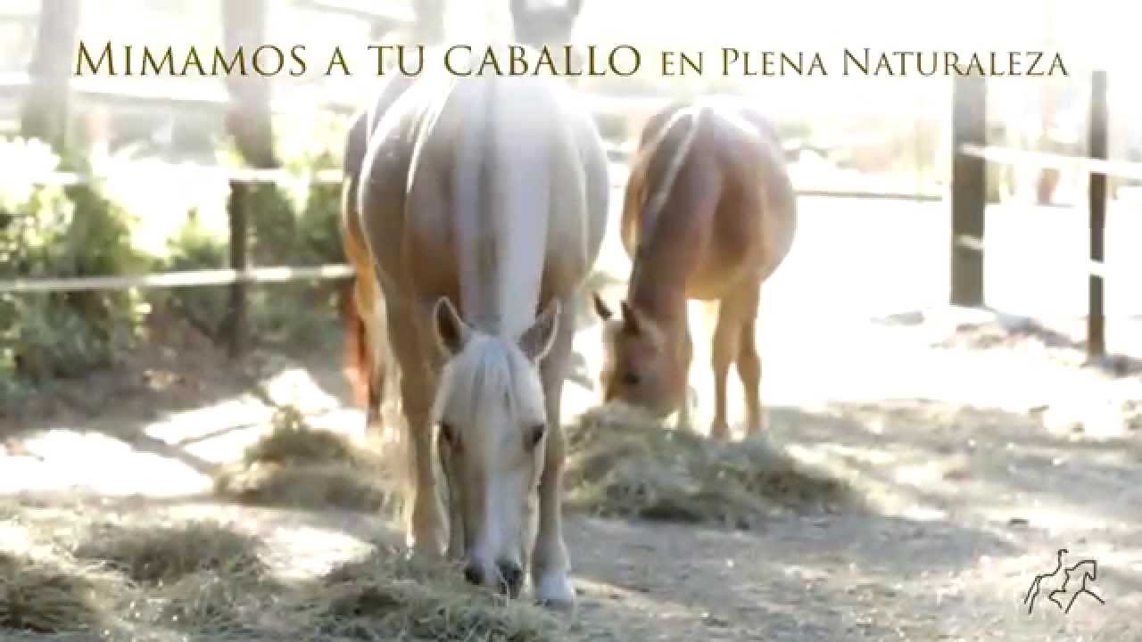 Hipica Collserola