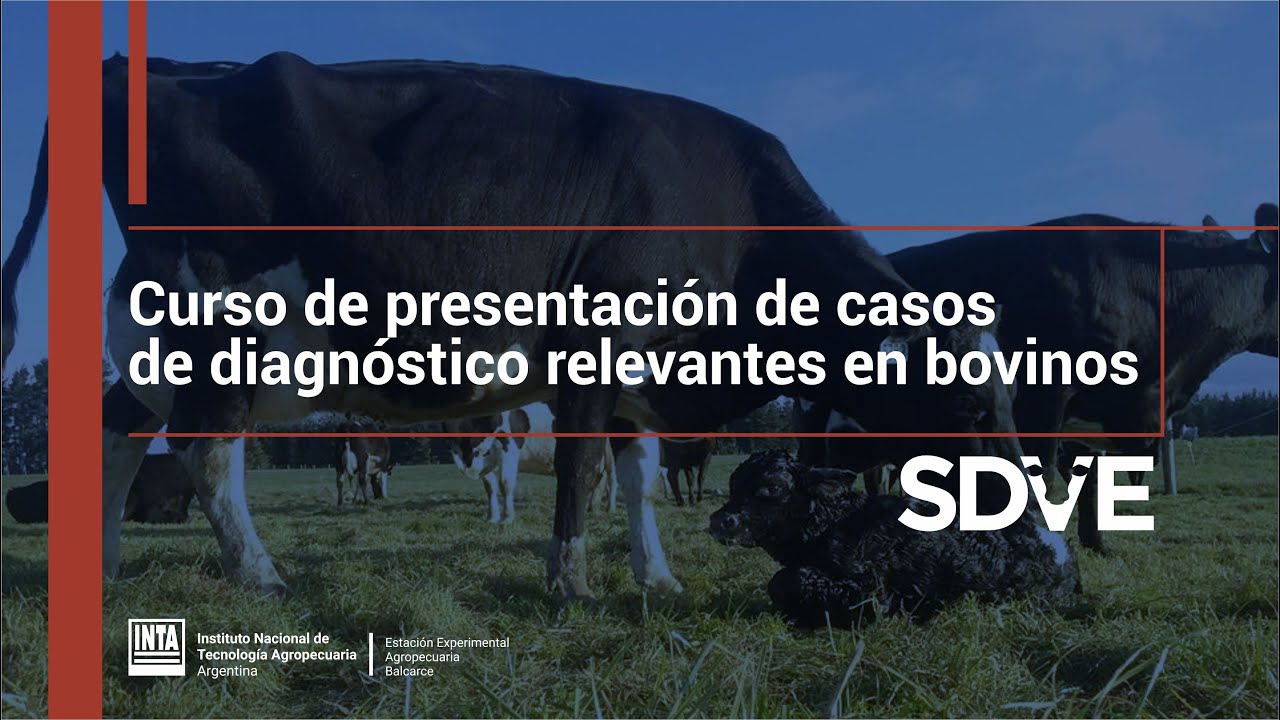 Curso de presentación de casosde diagnóstico relevantes en bovinos
