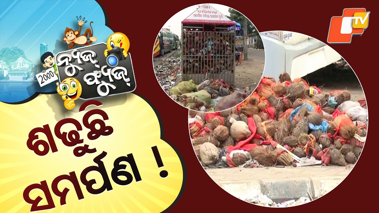 News Fuse 17 MAR 2026