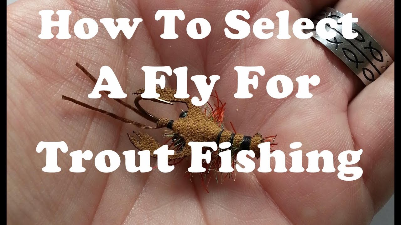 Selecting A Fly For Trout Fishing, SouthEast U.S. Trout Streams