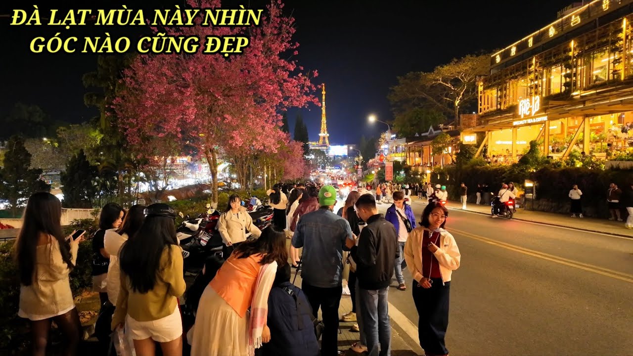 Đà Lạt mùa này ra đường nhìn góc nào cũng đẹp