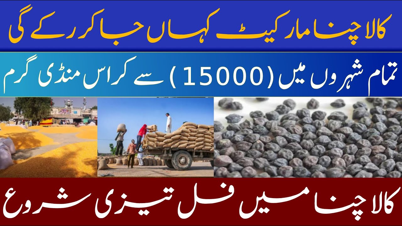 Kala chana price today in Pakistan/Chana rate today 2024/kala chana ka rate 2024/new rate of blac...