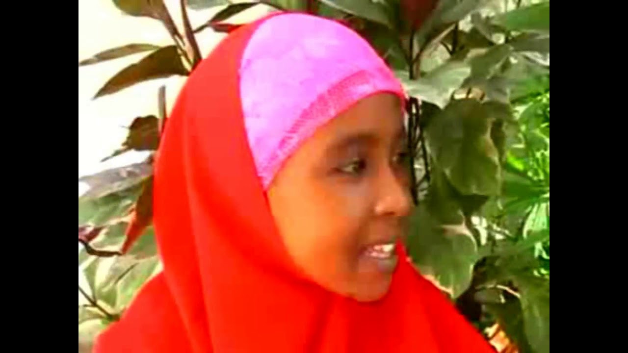 MAAL QAWEEYN IYO BENAALE - MARSHALE IYO ILKA CASE ...........