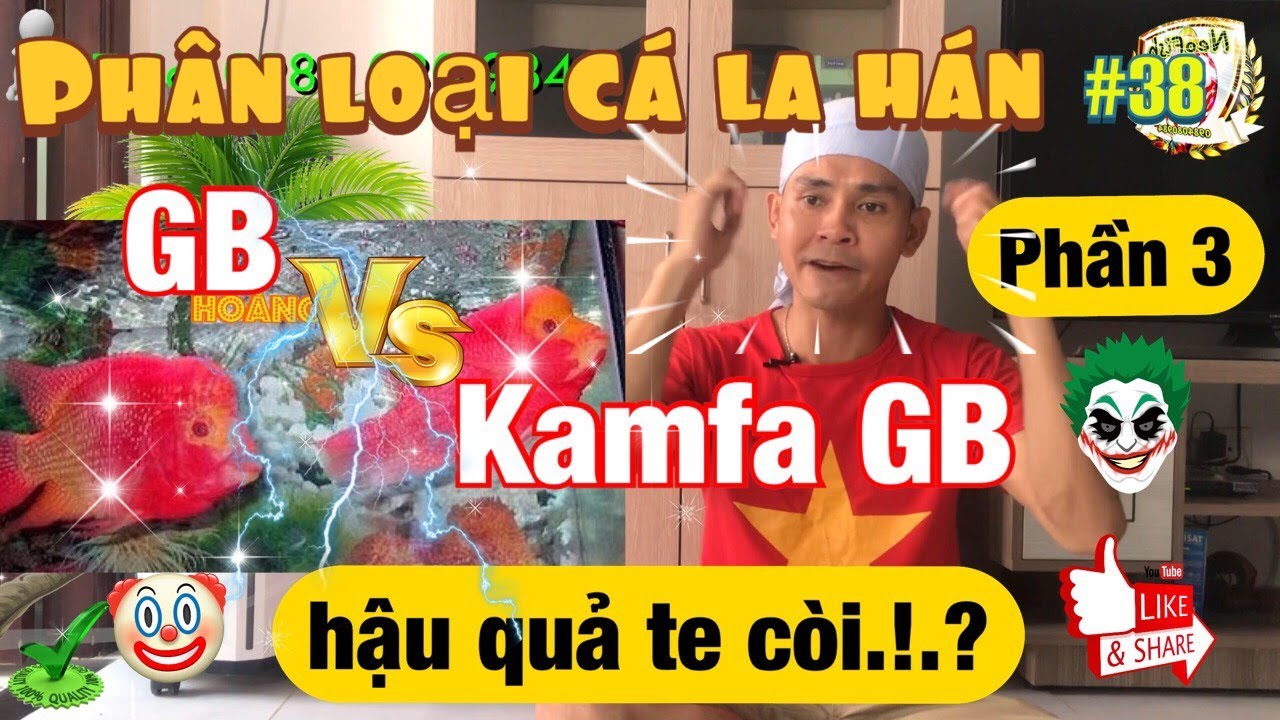 Golden Base: GB V&agrave; Kamfa GB | D&ograve;ng C&aacute; La H&aacute;n Rất Gi&aacute; Trị | #38