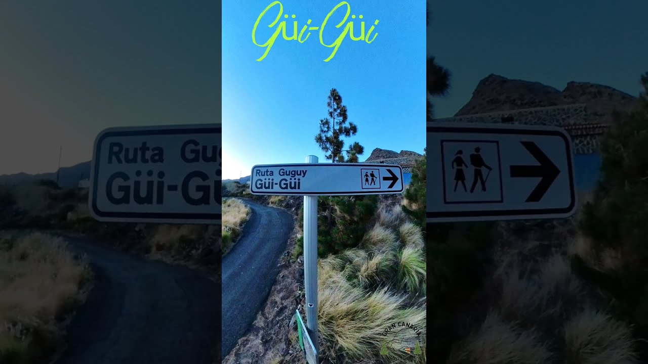 Gui gui (Guguy) por el barranco de la media luna. Gran Canaria andando