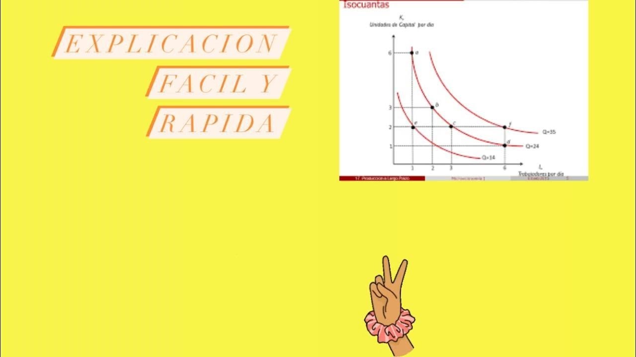 produccion de largo plazo | microeconomia
