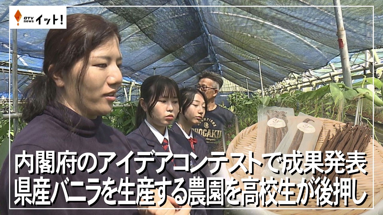 内閣府のアイデアコンテストで成果発表　県産バニラを生産する農園を高校生が後押し（沖縄テレビ）2026/03/16