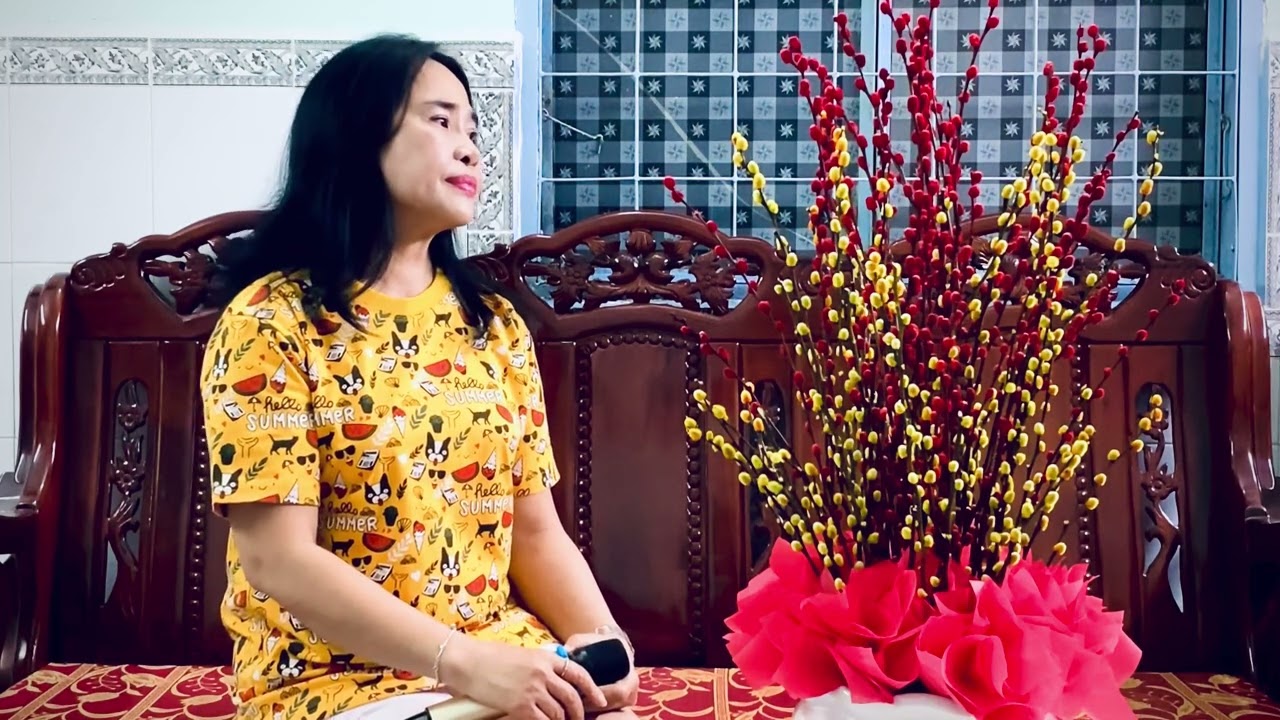 Ngoại ô đèn vàng (St:Y Vân) Tuyết Minh Cover 
