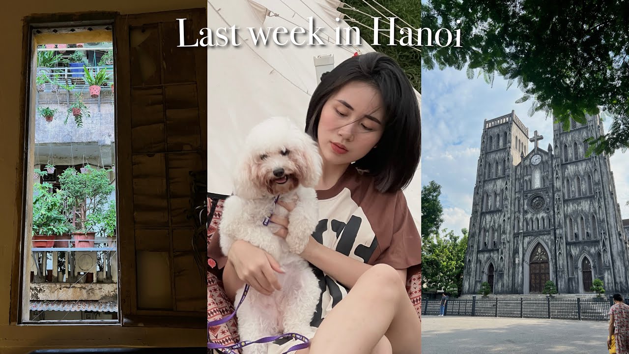 /vlog/ tuần cuối cùng ở Hà Nội trước khi quay lại Mỹ 🇻🇳🍂😕 hanoi food tour