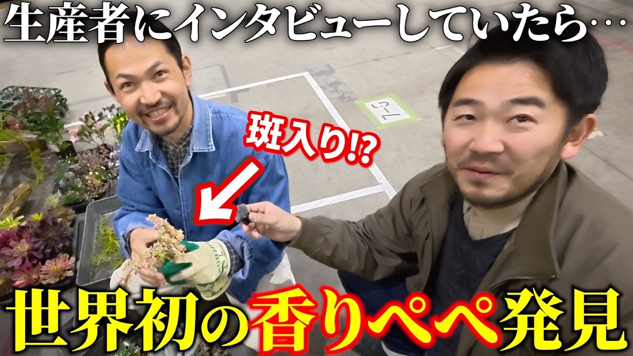 日本一の植物展示会で生産者に突撃したら、面白い植物だらけだった！in豊明花き市場