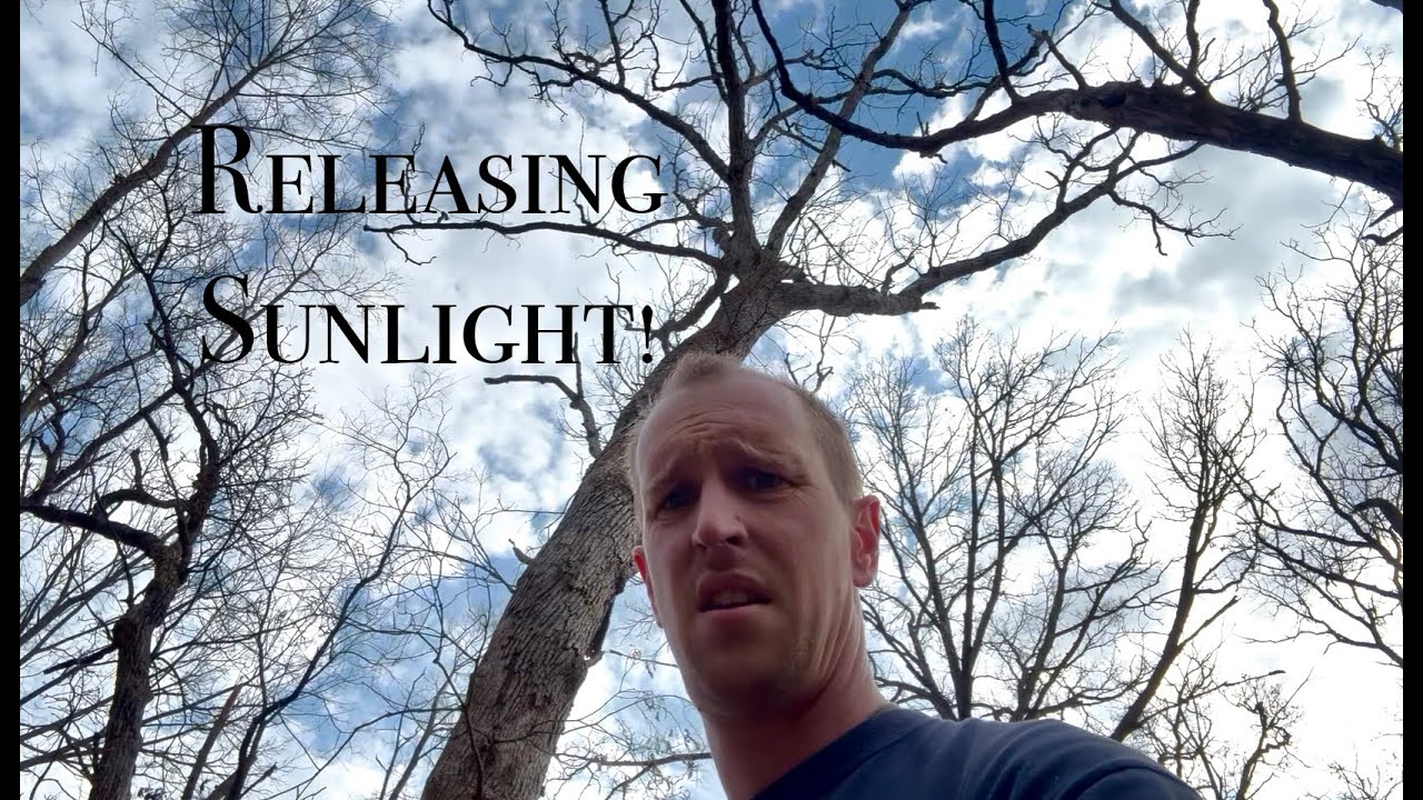 Boosting clover growth in our killplot!