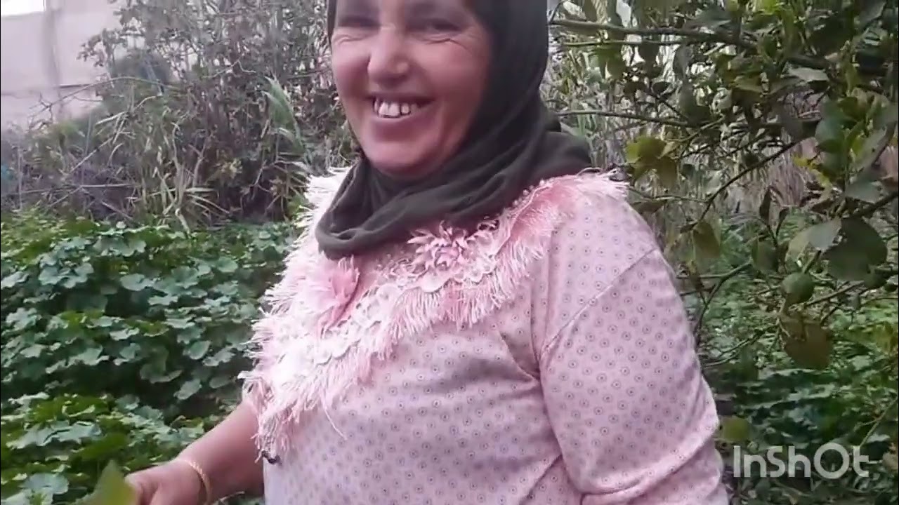 قطفت معاكم الخبيزة ماشاء الله تبارك الرحمن 🥘🥘😉
