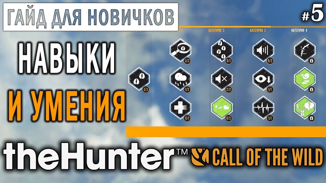 theHunter Call of the Wild #5 🔫 - Навыки и Умения - ГАЙД для Начинающих