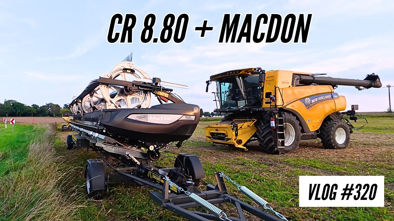 Vlog 320 Lupinen dreschen 🌱 CR8.80 + MacDon FD230 FlexDraper im Test