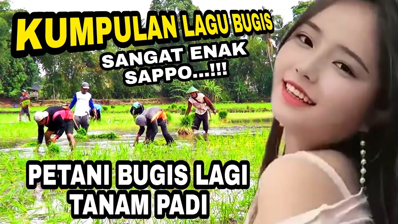 Kumpulan lagu bugis populer dengan visual kerja  Menanam padi bugis soppeng sulawesi selatan