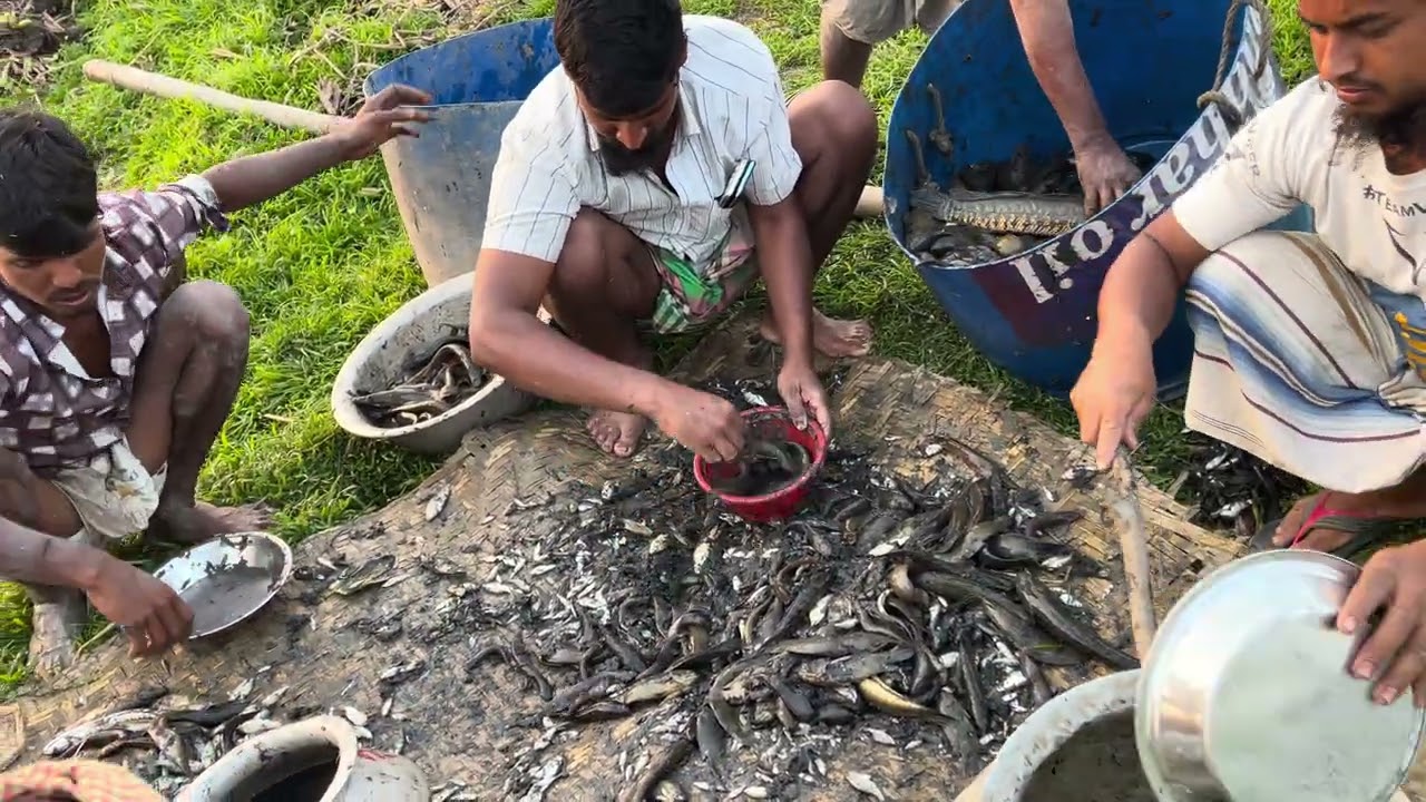 সারাদিন মাছ ধরা শেষে বিকেলবেলা সবাই মিলে মাছ পরিষ্কার করতে খুবই ভালো লাগে। 🐟😊
