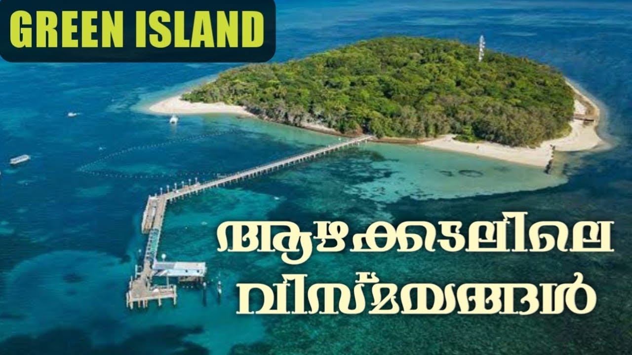 #greenisland, #greatbarrier Reef snorkeling | Cairns| Australia | Snorkeling | Queensland