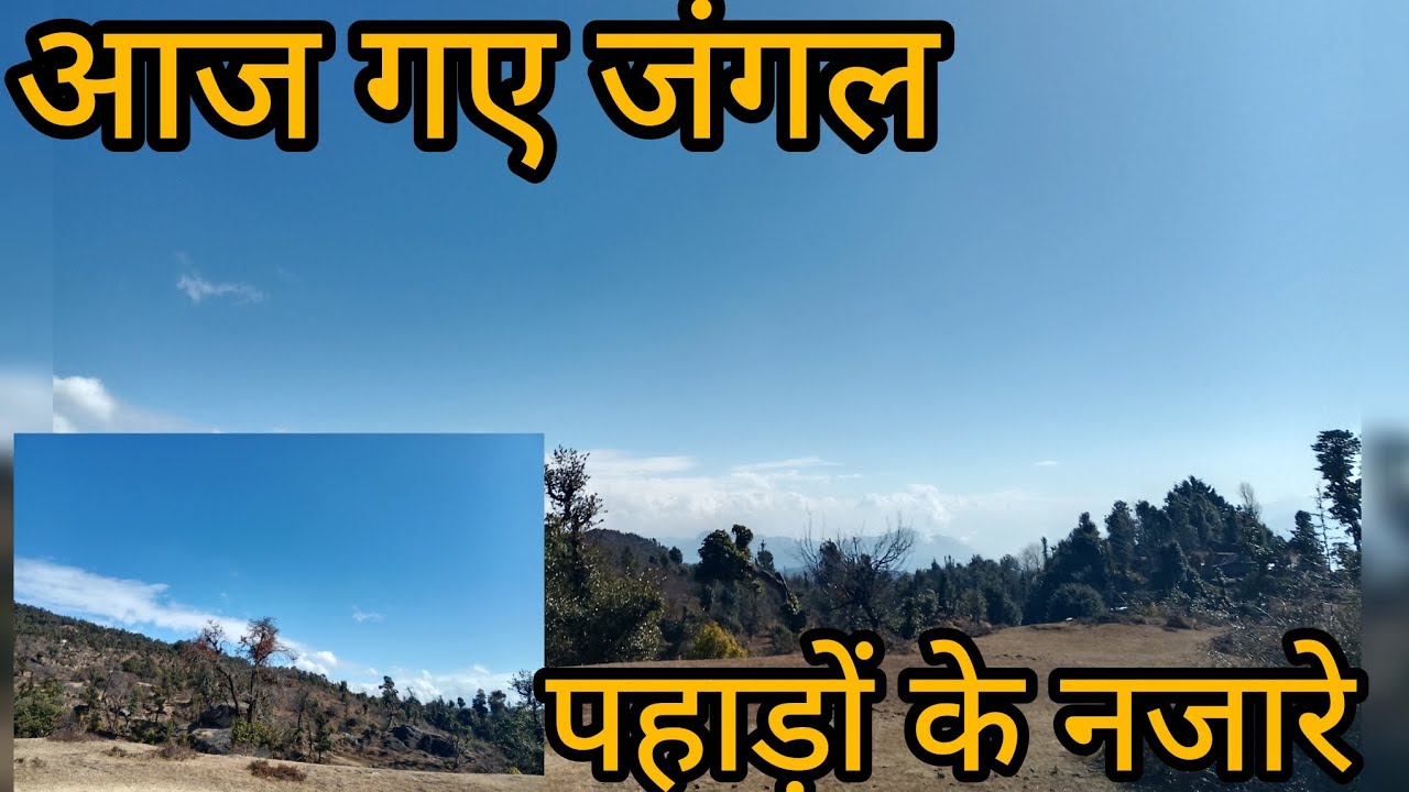 आज गए बहुत दिनों बाद जंगल पहाड़ों  के नजारे🏔️🎉😍🎉