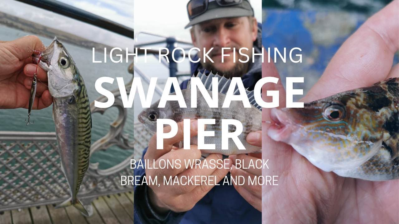 Light Rock Fishing - Swanage Pier - Baillons Wrasse, Black Bream, Mackerel and more