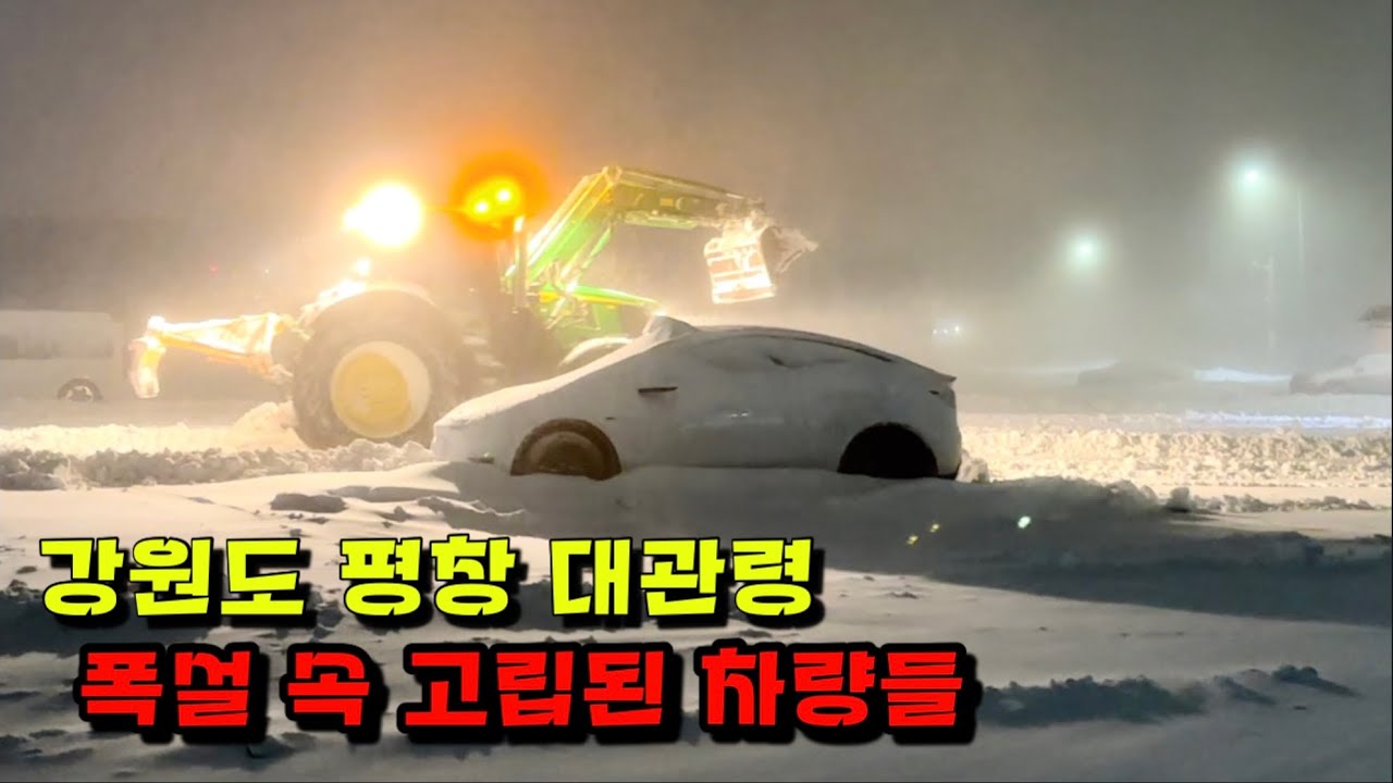 계속되는 폭설에 고립된 차량들.. 연이틀 퍼붓는 눈폭탄에 마비가 된 강원도 평창 대관령의 모습