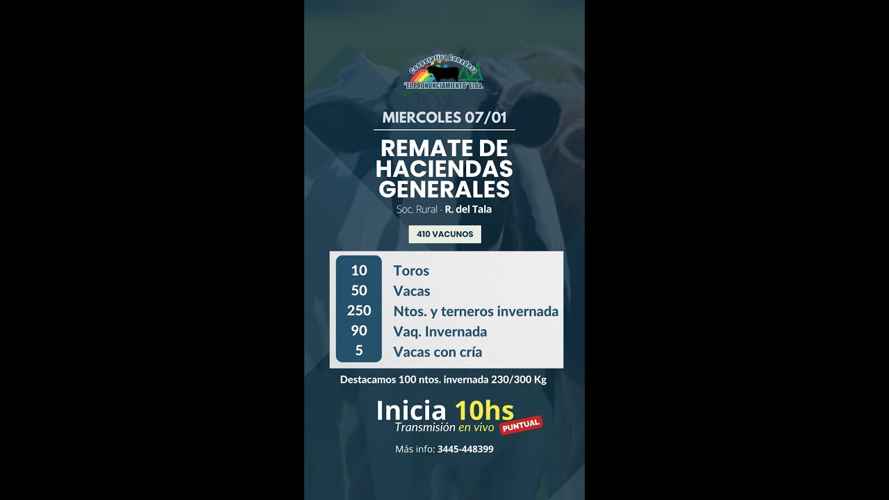 Remate de hacienda Rosario Del Tala 07-01-2026 | Coop. Ganadera El Pronunciamiento